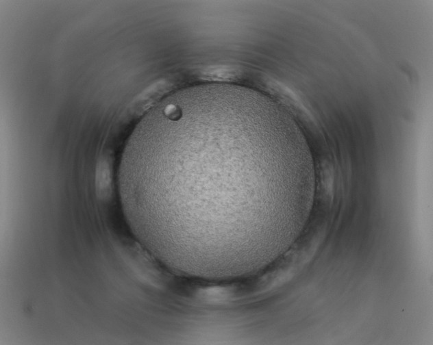 X0000114110312200910191708