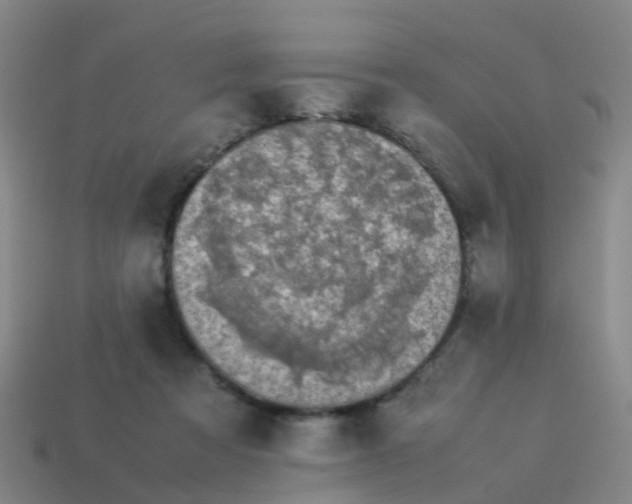 X0000114110313200910191708