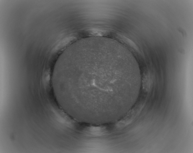 X0000114110314200910191708