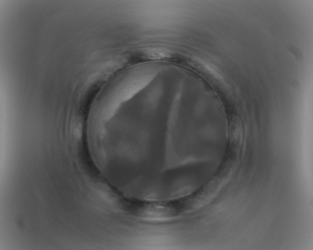 X0000114110315200910191708