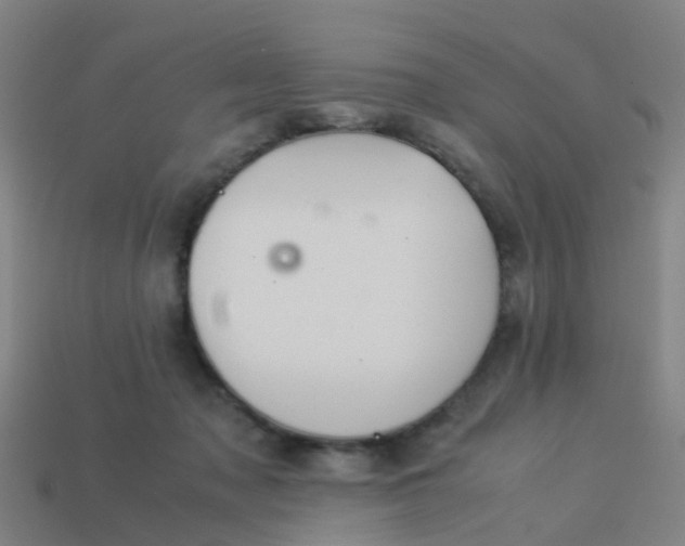 X0000114110317200910191708