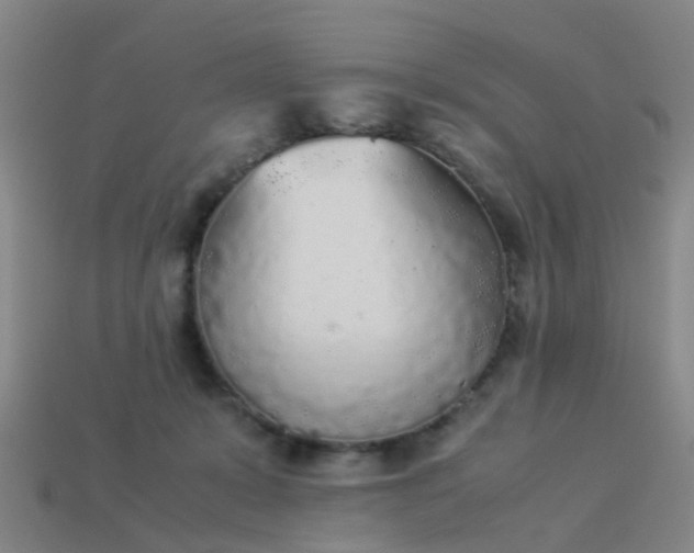 X0000114110319200910191708