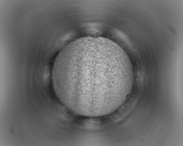 X0000114110320200910191708