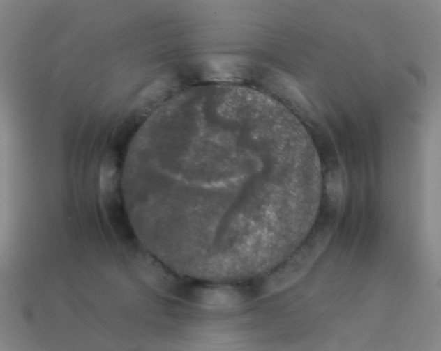 X0000114110322200910191708