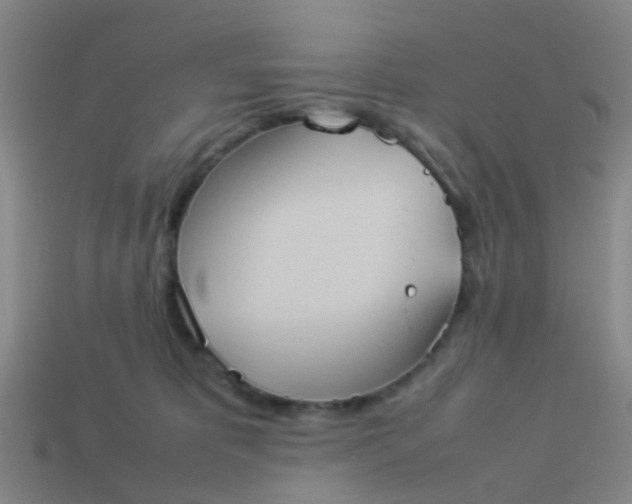 X0000114110325200910191708