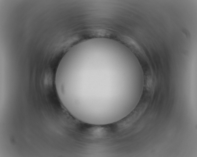 X0000114110326200910191708