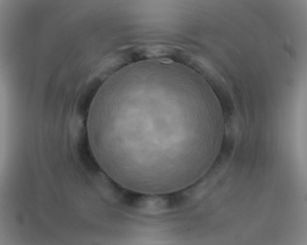 X0000114110327200910191708