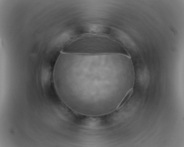 X0000114110328200910191708