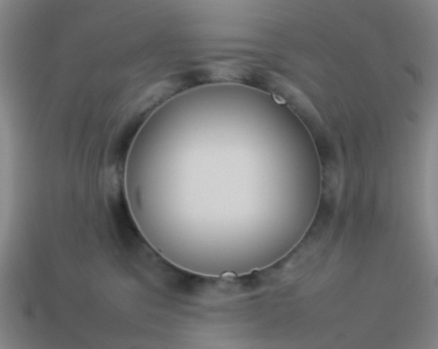 X0000114110329200910191708