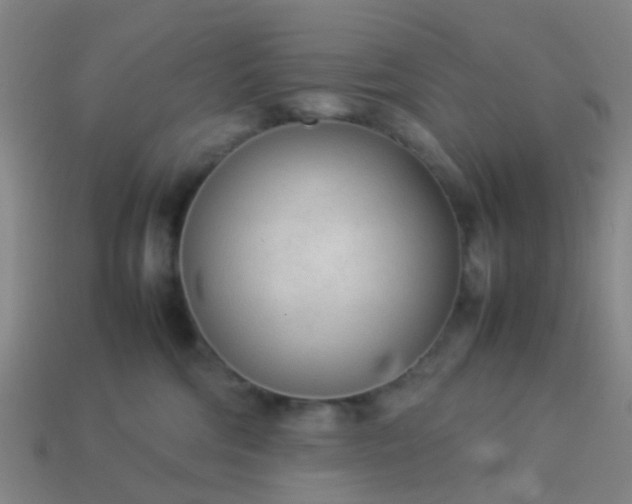 X0000114110330200910191708