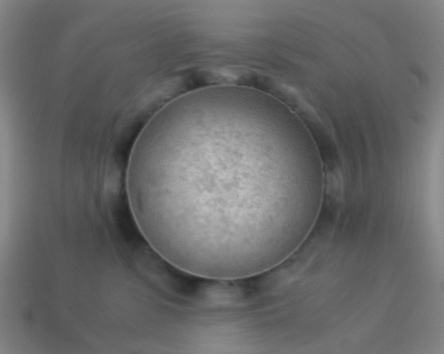 X0000114110331200910191708