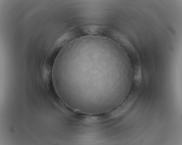 X0000114110332200910191708