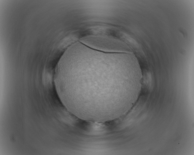 X0000114110333200910191708