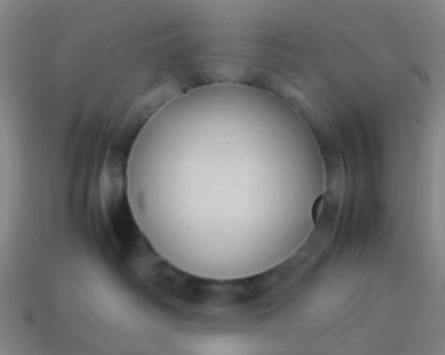 X0000114110334200910191708