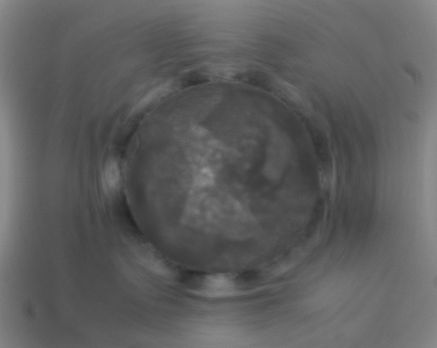 X0000114110335200910191708