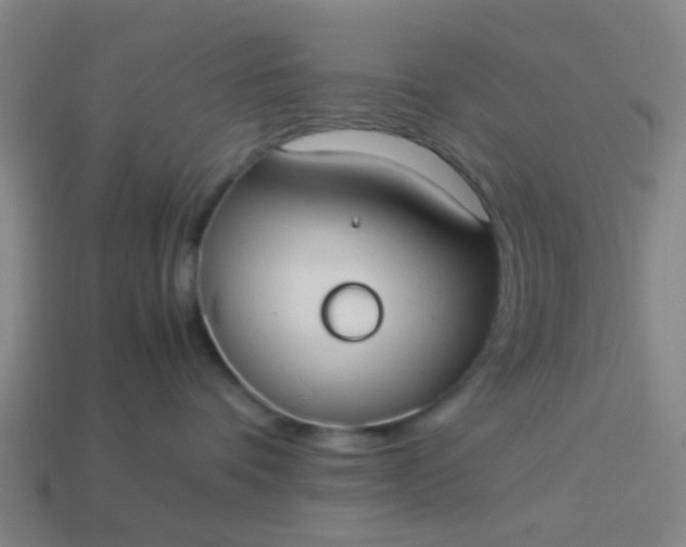 X0000114110336200910191708