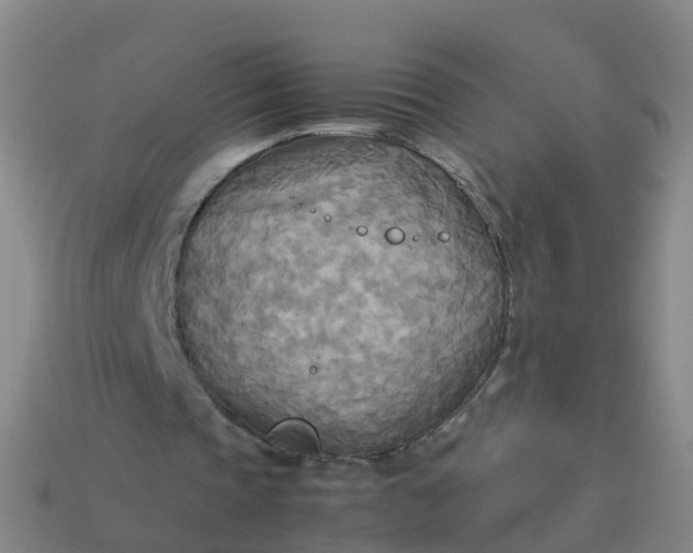 X0000114110337200910191707