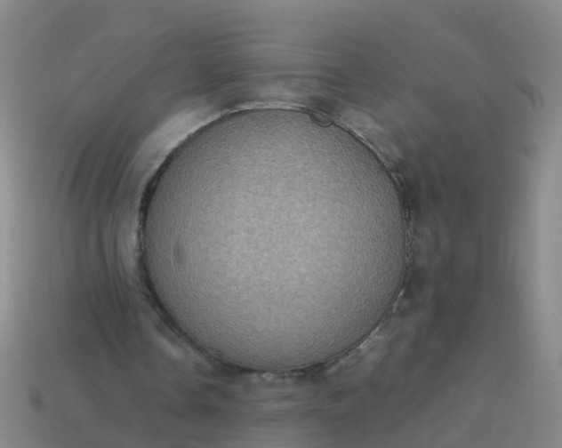 X0000114110338200910191707