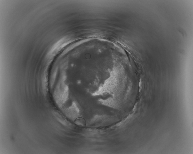 X0000114110339200910191707