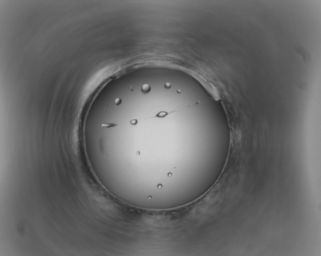 X0000114110340200910191707