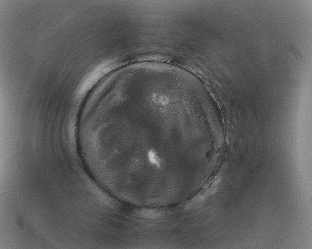 X0000114110341200910191707