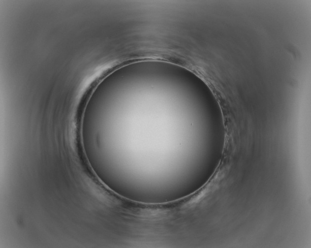 X0000114110342200910191707