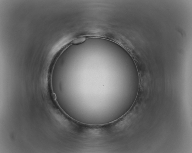 X0000114110344200910191707