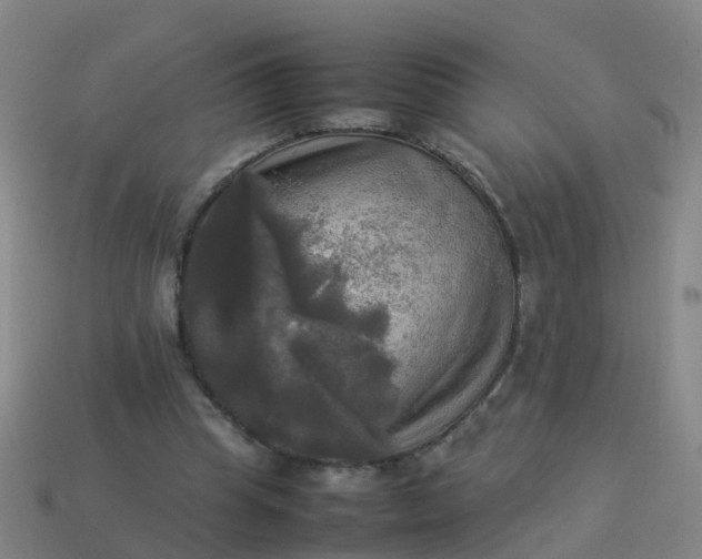 X0000114110345200910191707