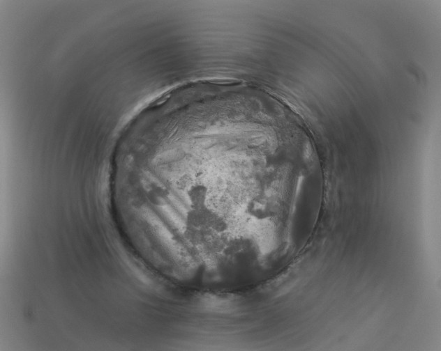 X0000114110346200910191707