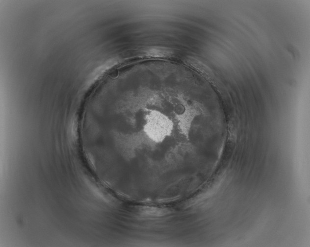 X0000114110347200910191707