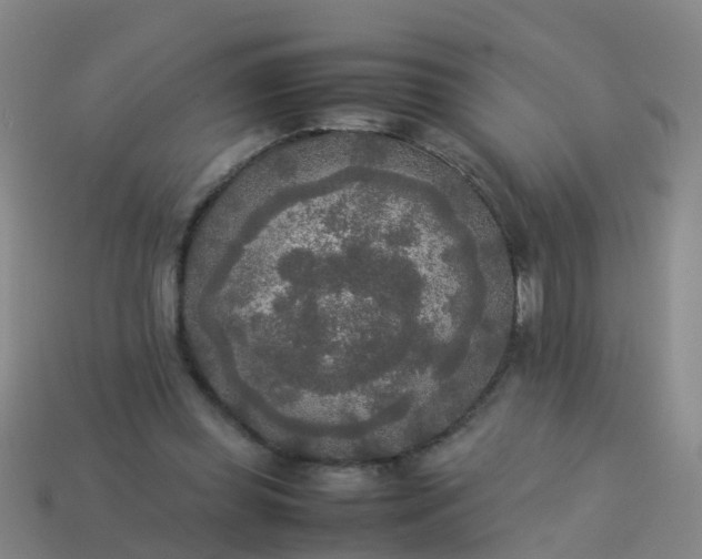 X0000114110349200910191707