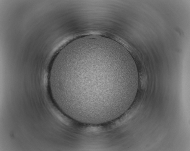 X0000114110350200910191707