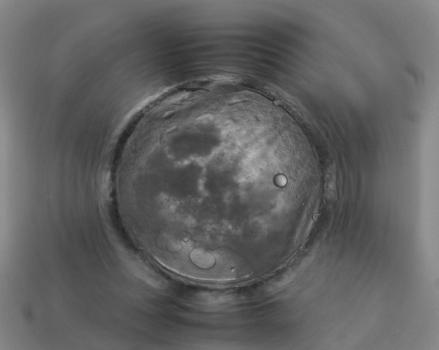 X0000114110351200910191707