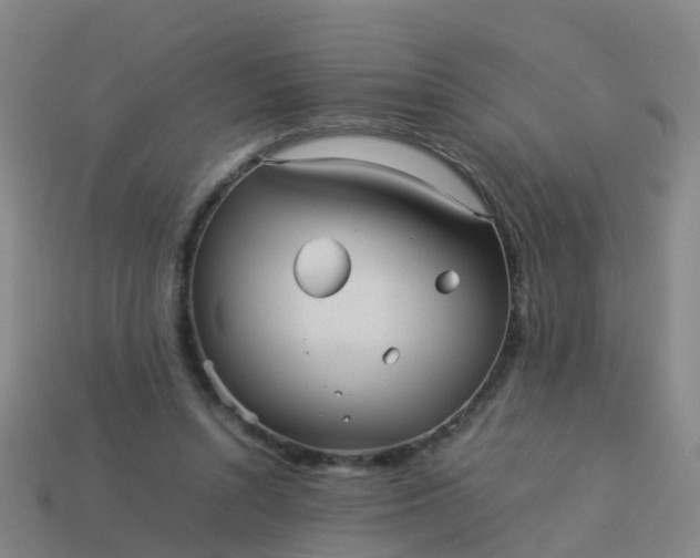 X0000114110352200910191707