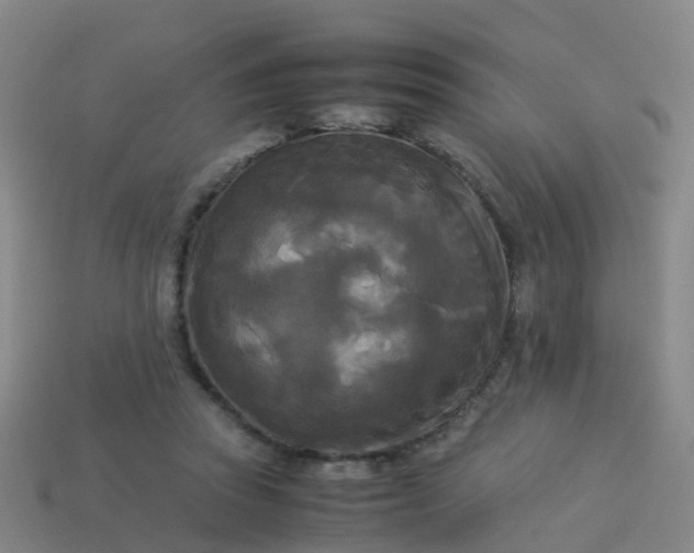 X0000114110353200910191707