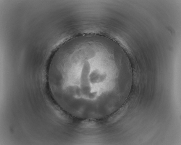 X0000114110354200910191707