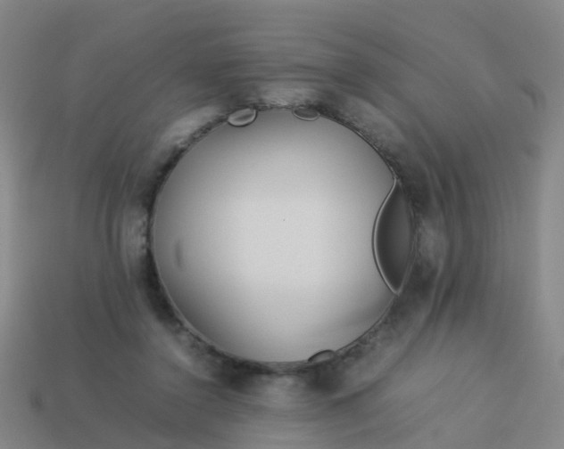 X0000114110356200910191707