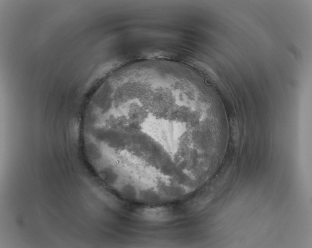 X0000114110357200910191707