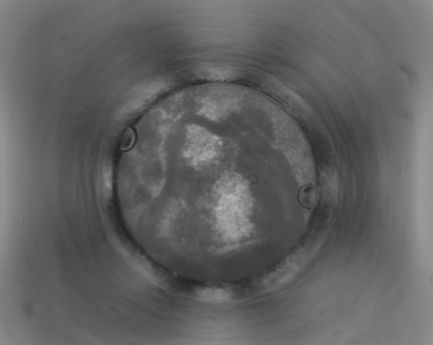 X0000114110358200910191707