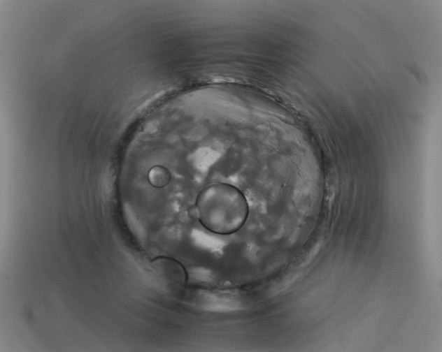 X0000114110359200910191707