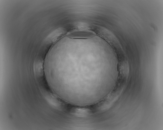 X0000114110360200910191707