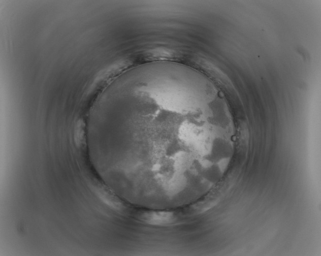 X0000114110361200910191707