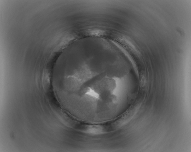 X0000114110363200910191707