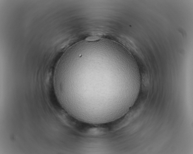 X0000114110364200910191707