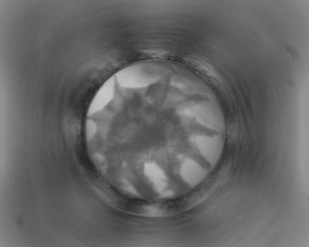 X0000114110365200910191707