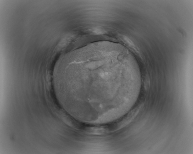 X0000114110366200910191707