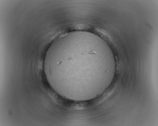 X0000114110368200910191707