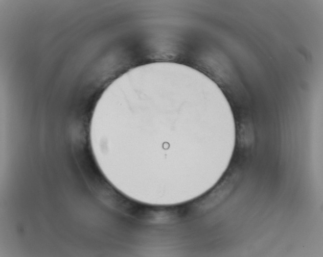 X0000114110370200910191707