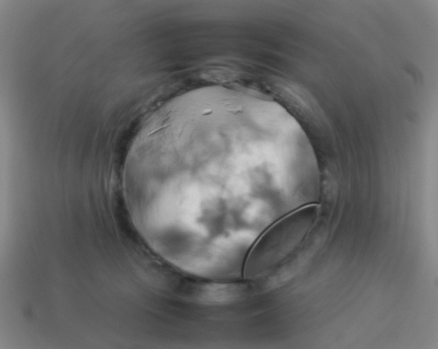 X0000114110371200910191707