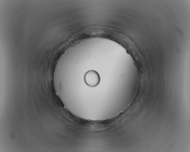 X0000114110372200910191707